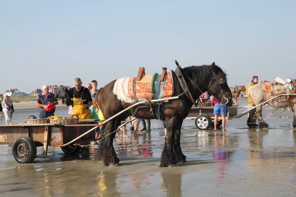 Oostduinkerke